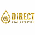 Avatar of @direct.leak.detection