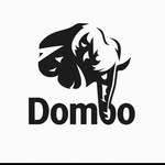 Avatar of @dombo333