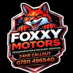 Avatar of @foxxy_motors_recovery