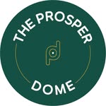 Avatar of @theprosperdome